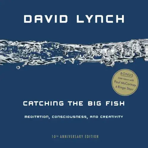 Catching the Big Fish: Meditation, Consciousness, and Creativity